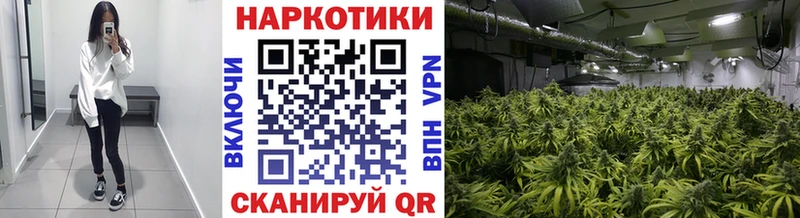 Что такое Наволоки АМФЕТАМИН Бошки Шишки Галлюциногенные грибы Героин Мефедрон Гашиш