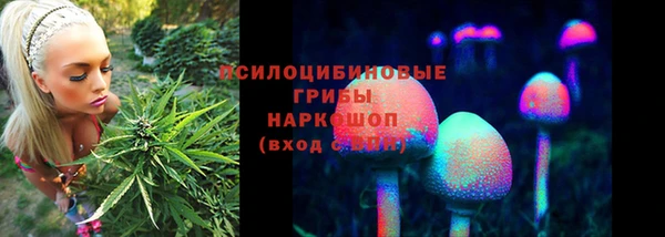 крисы Алексин