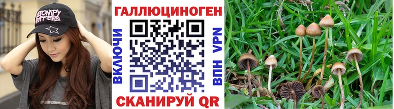 Псилоцибиновые грибы мицелий  Наволоки 